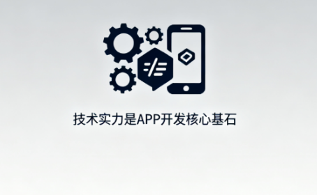 甄选APP开发公司的关键指南​